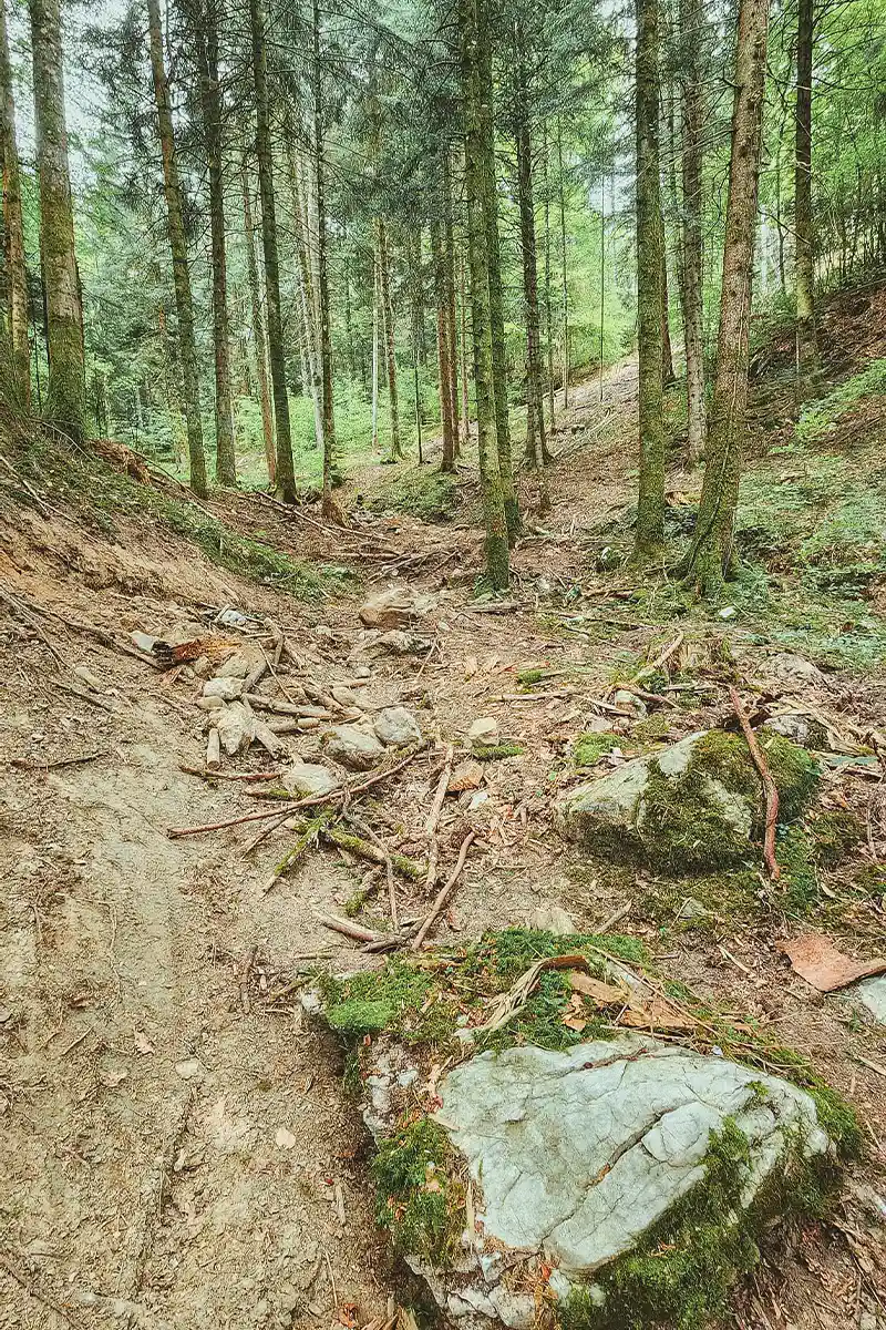 Veyrier Annecy sentier VTT détruit au bulldozer
