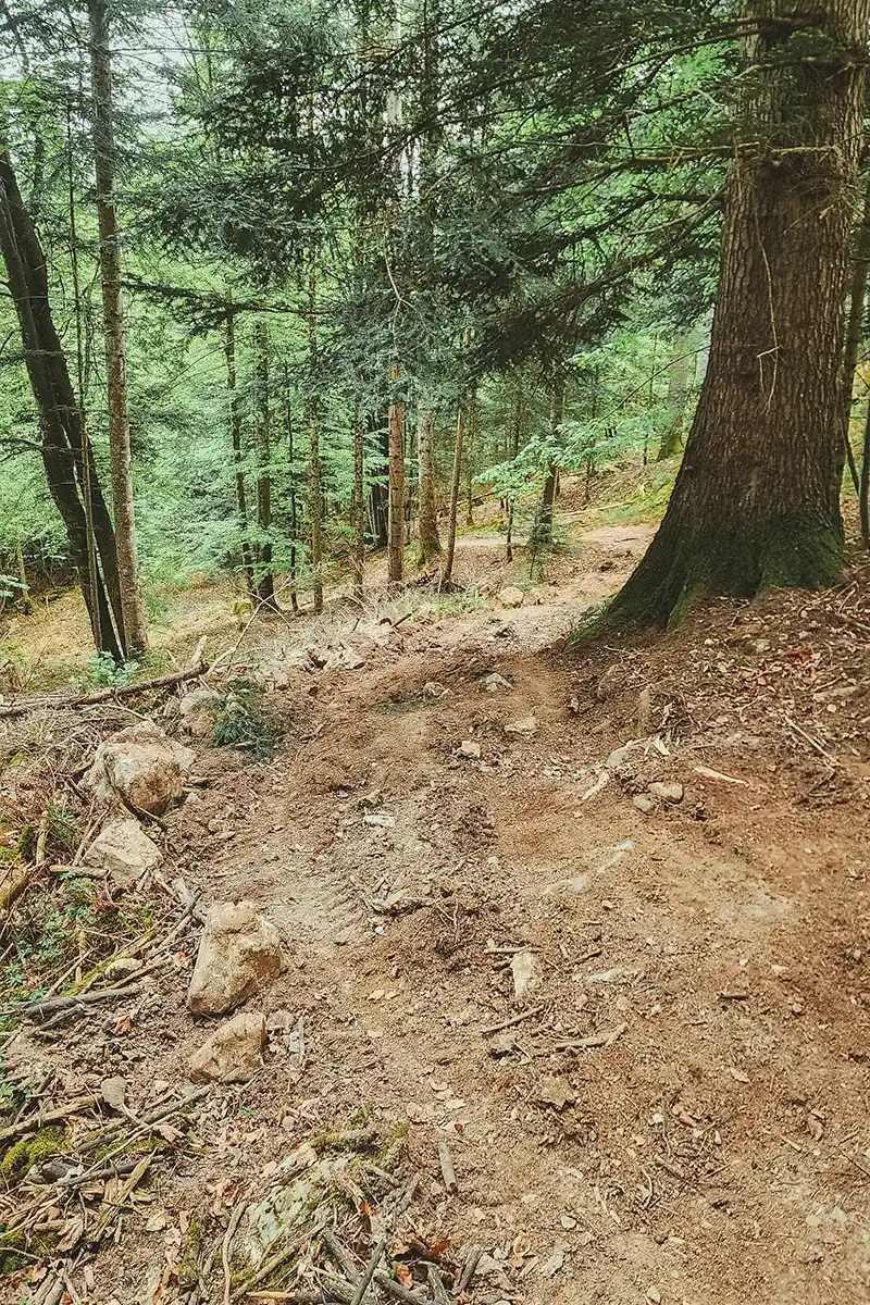 Veyrier Annecy sentier VTT détruit au bulldozer