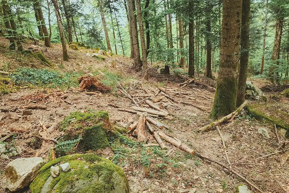 Veyrier Annecy sentier VTT détruit au bulldozer