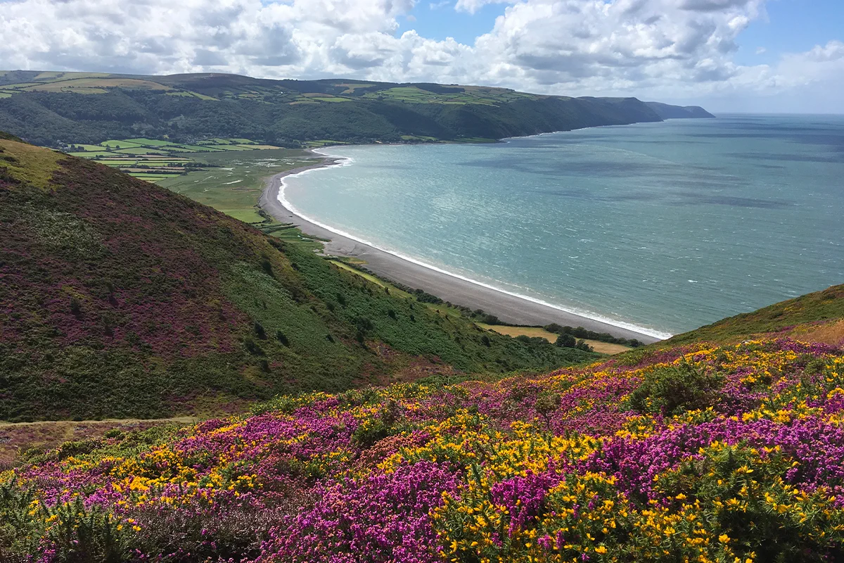 King Charles III England Coast Path