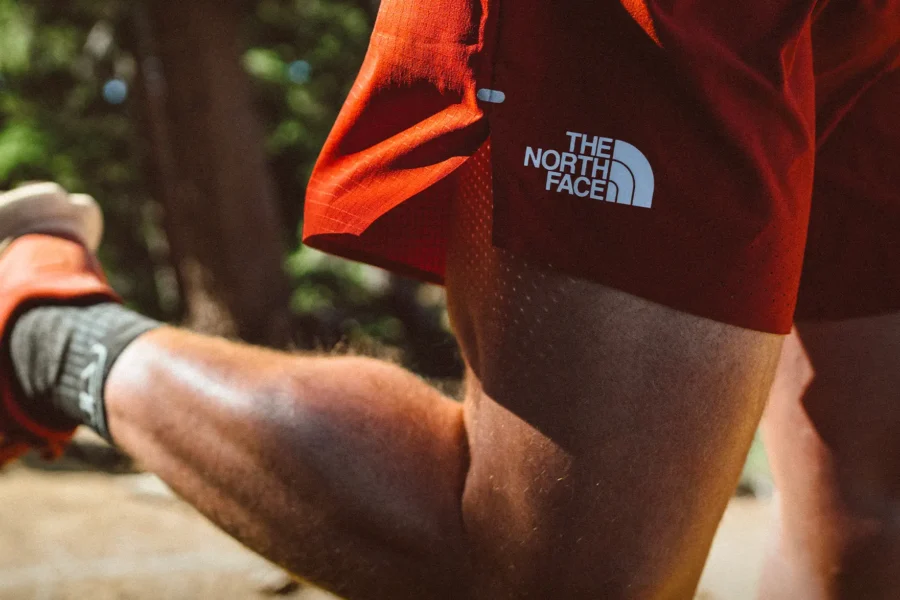 The North Face SUMMIT SERIES ACESETTER SHORTS