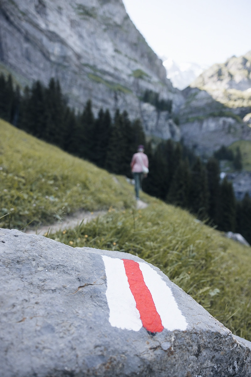 Les dents du Midi - Champéry - Valais - été