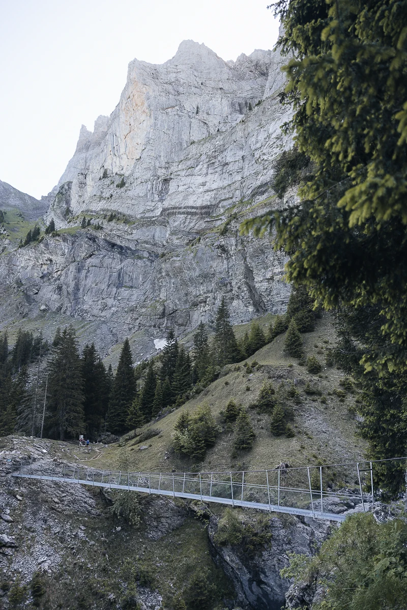 Les dents du Midi - Champéry - Valais - été