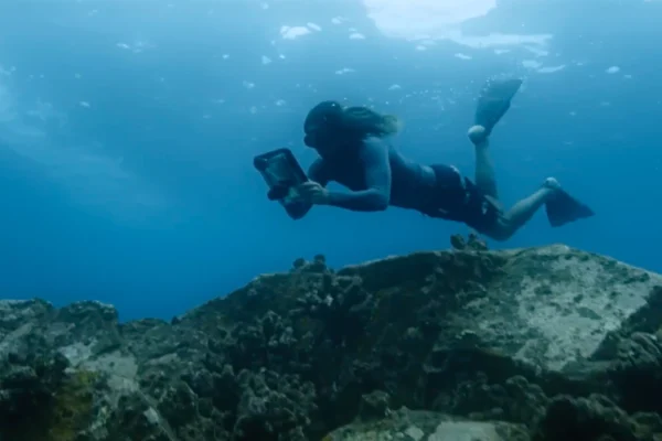 Surfeur pro et scientifique renommé, Cliff Kapono veut cartographier un million de récifs coralliens d’ici 2030