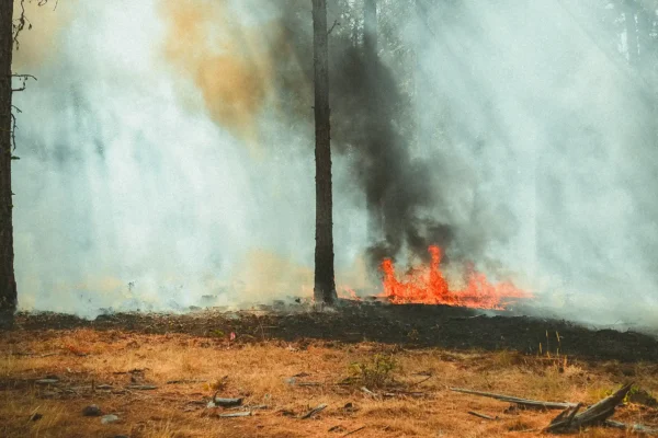 Départ de feu