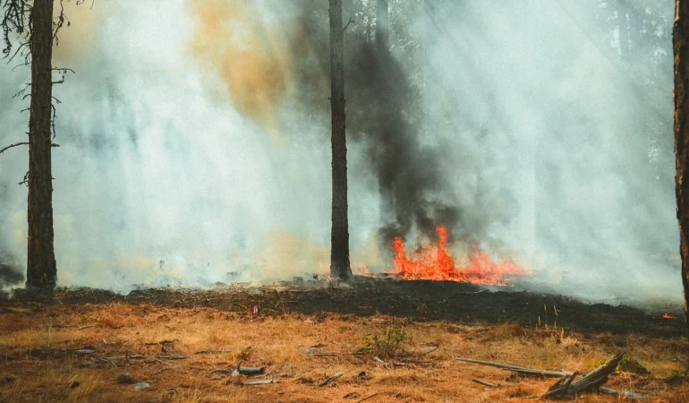 Départ de feu