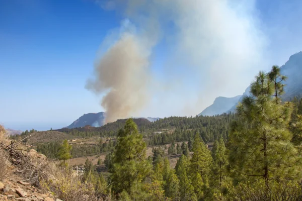 Fumée incendie Gran Canaria