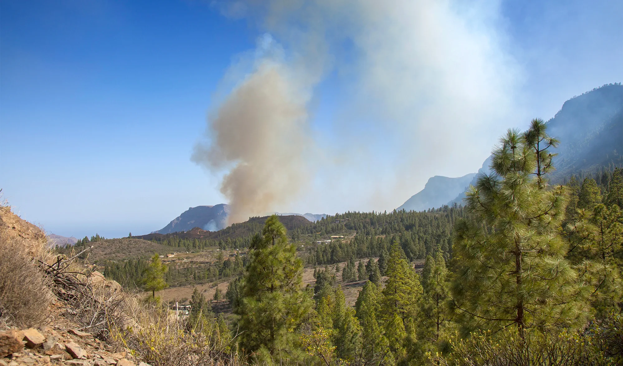 Fumée incendie Gran Canaria