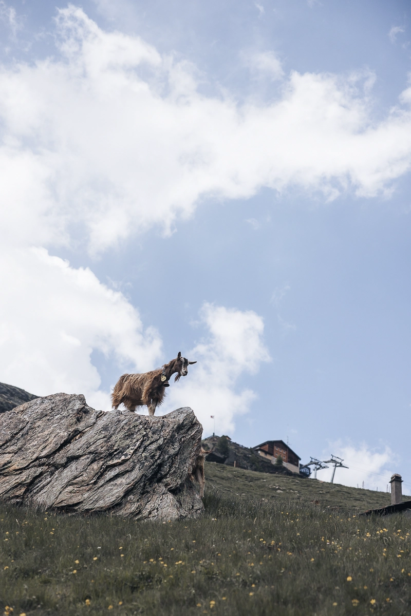 Saas Fee Valais été