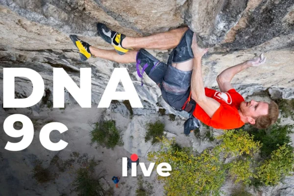 DNA 9C Live