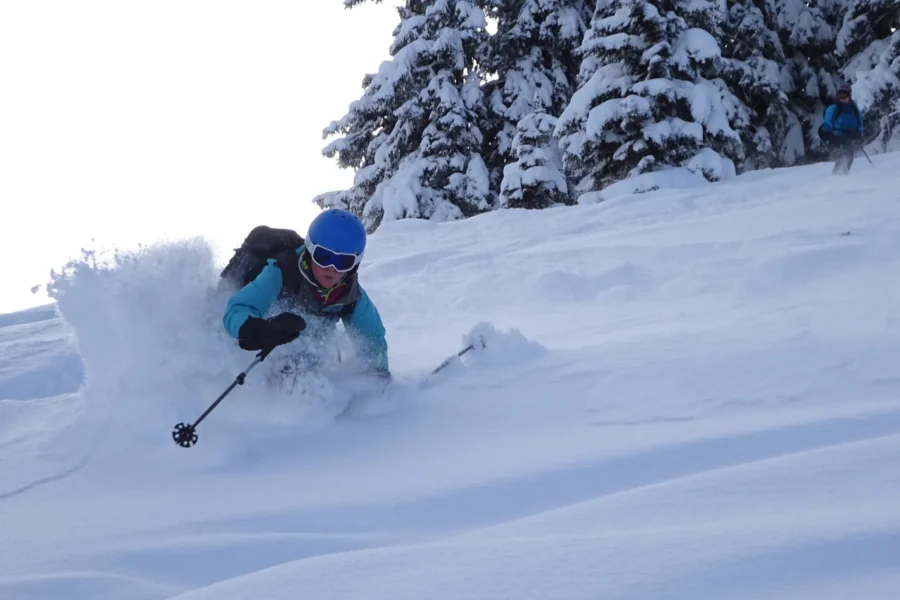 Descente en poudreuse dans les Alpes